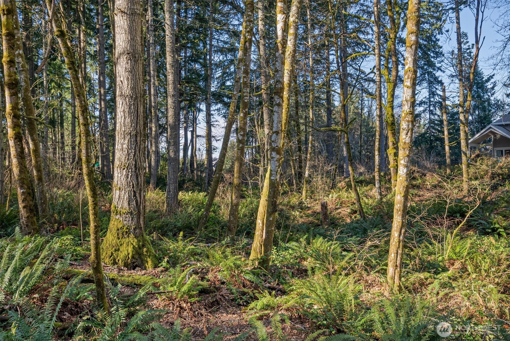 9519 63rd (Lot 3) Street NW