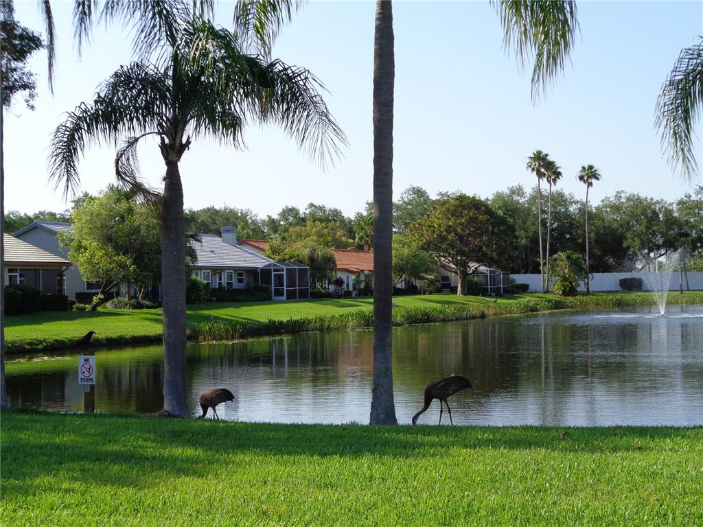 4241 MARSEILLES AVENUE Unit: 3228