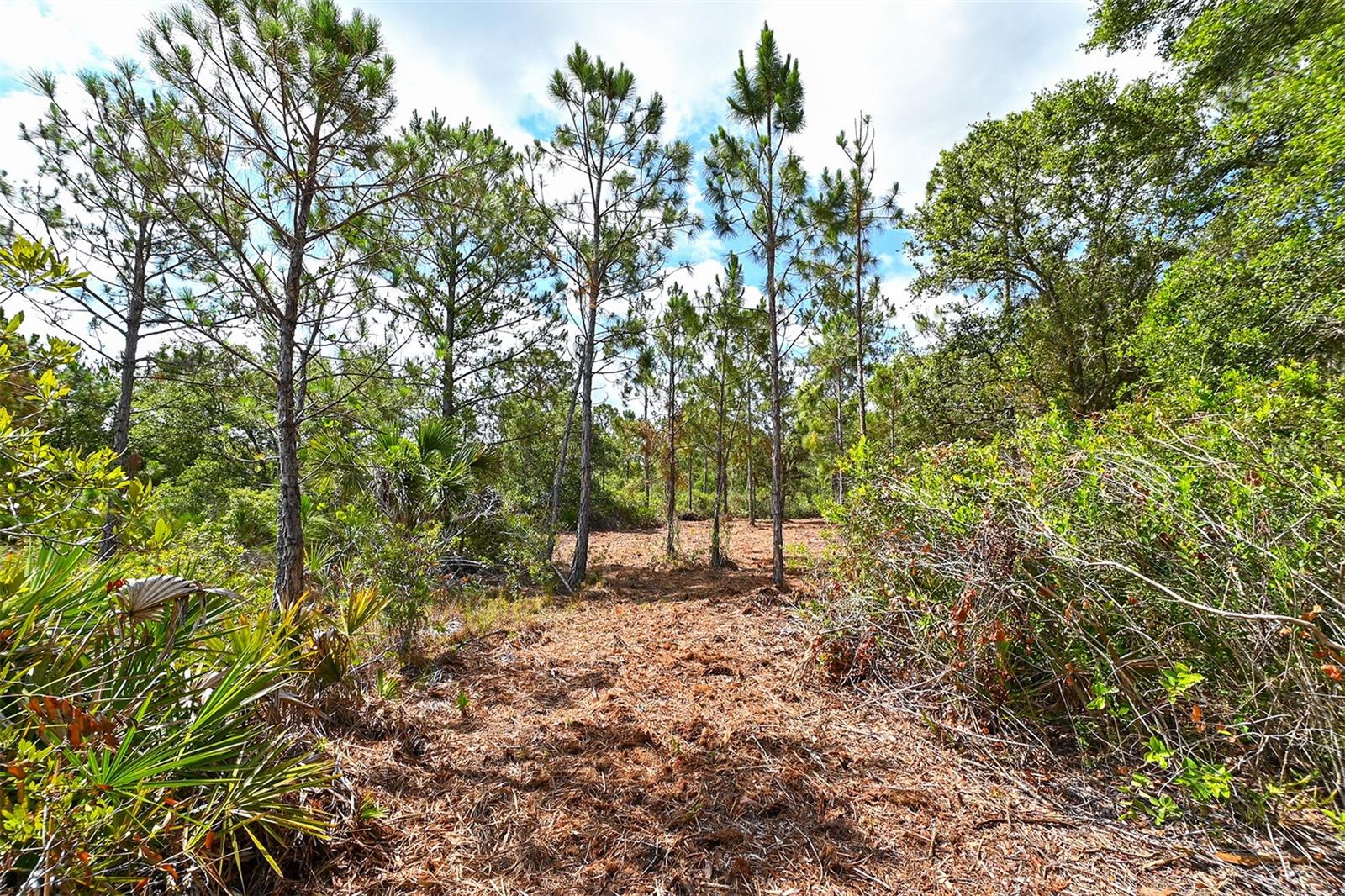 10709 LEAFWING DRIVE