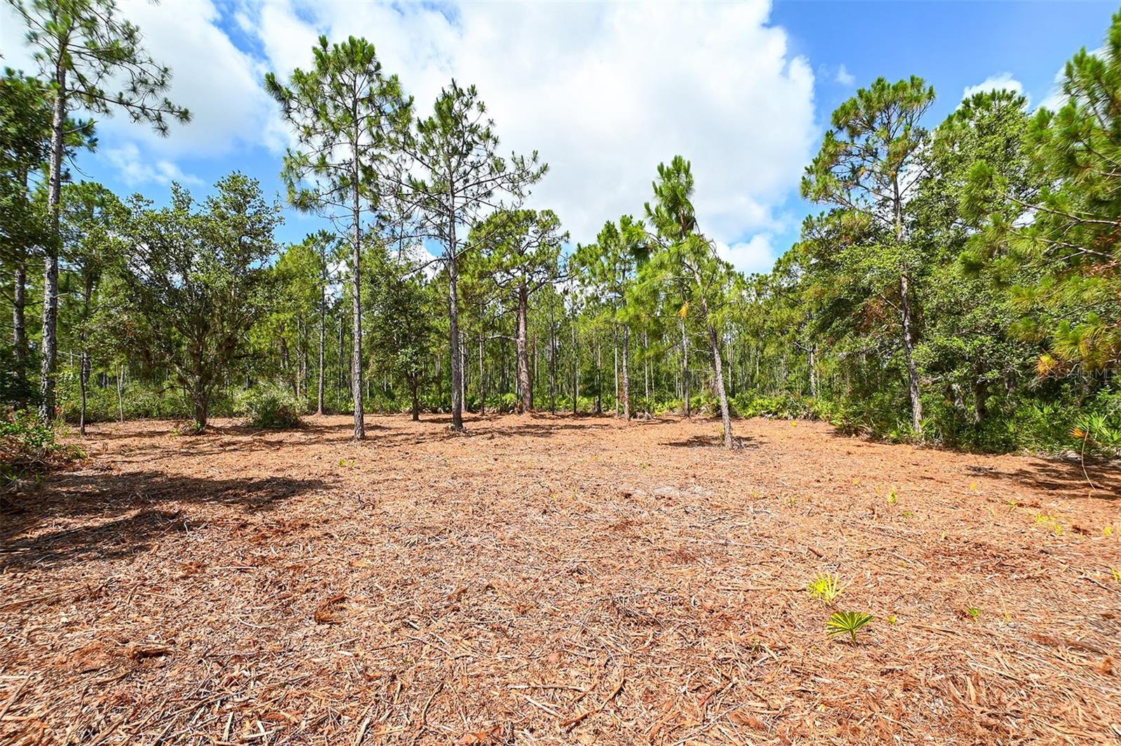 10709 LEAFWING DRIVE