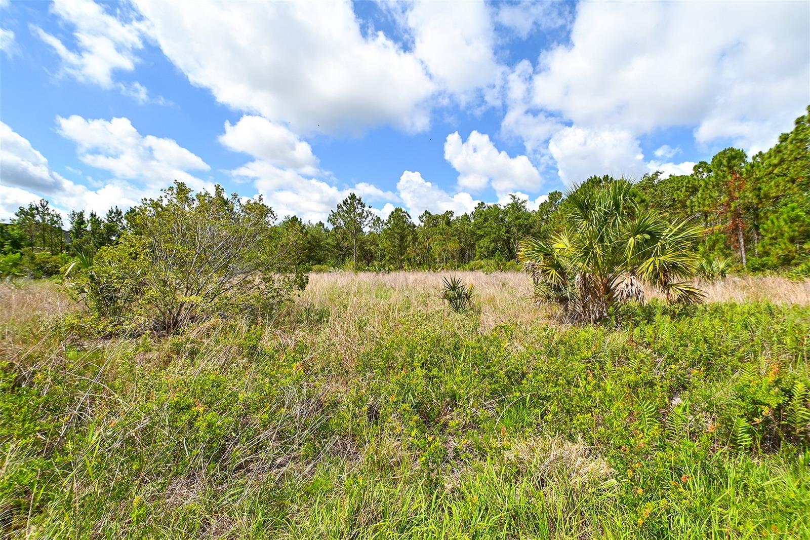 10709 LEAFWING DRIVE