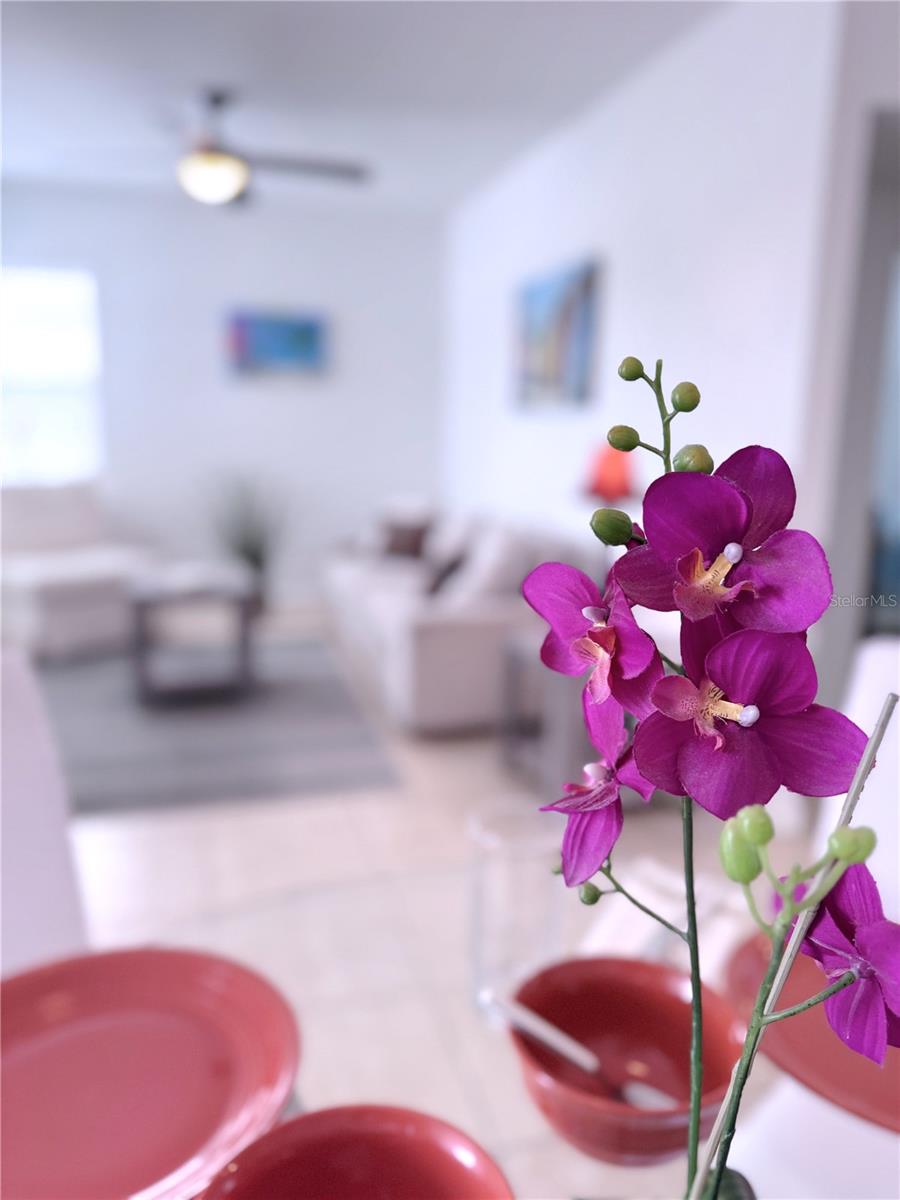 6630 MIDNIGHT PASS RD