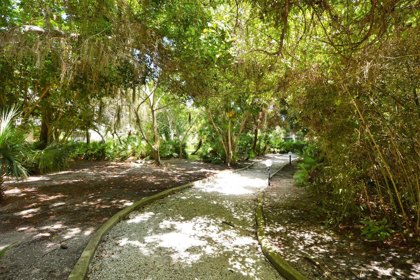225 WOODLAND DR