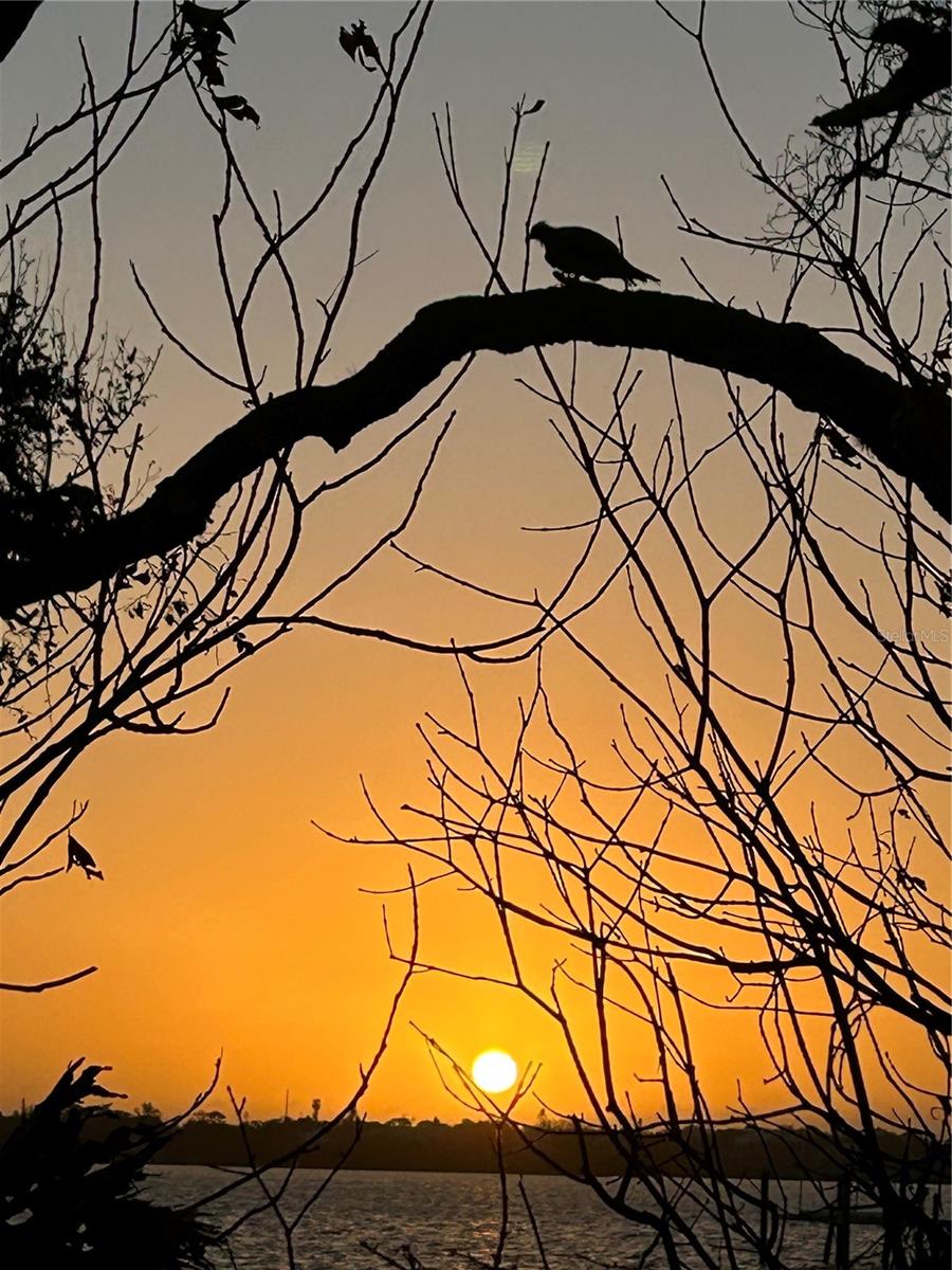 8625 MIDNIGHT PASS RD #505B