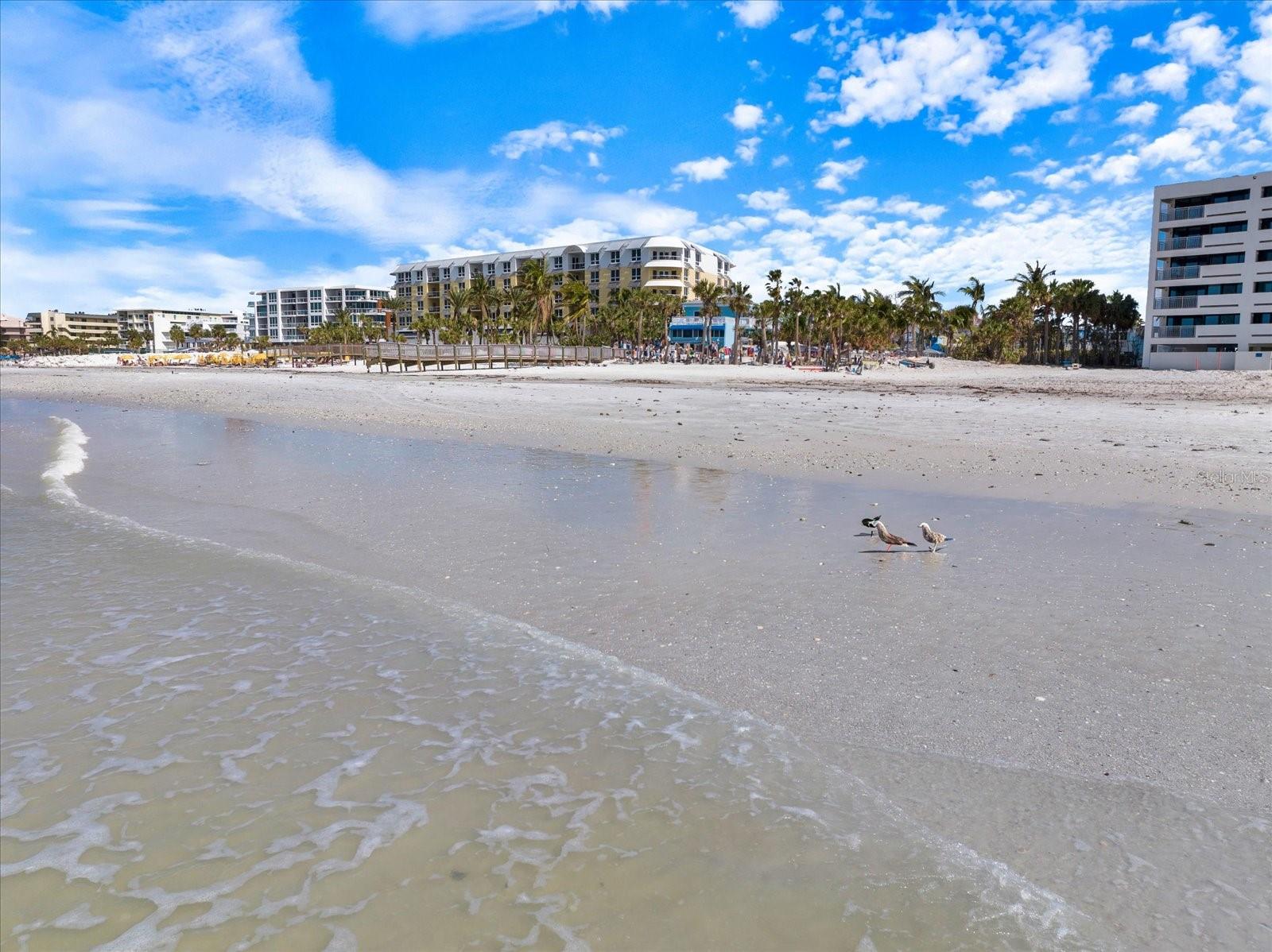 1604 STICKNEY POINT RD #102