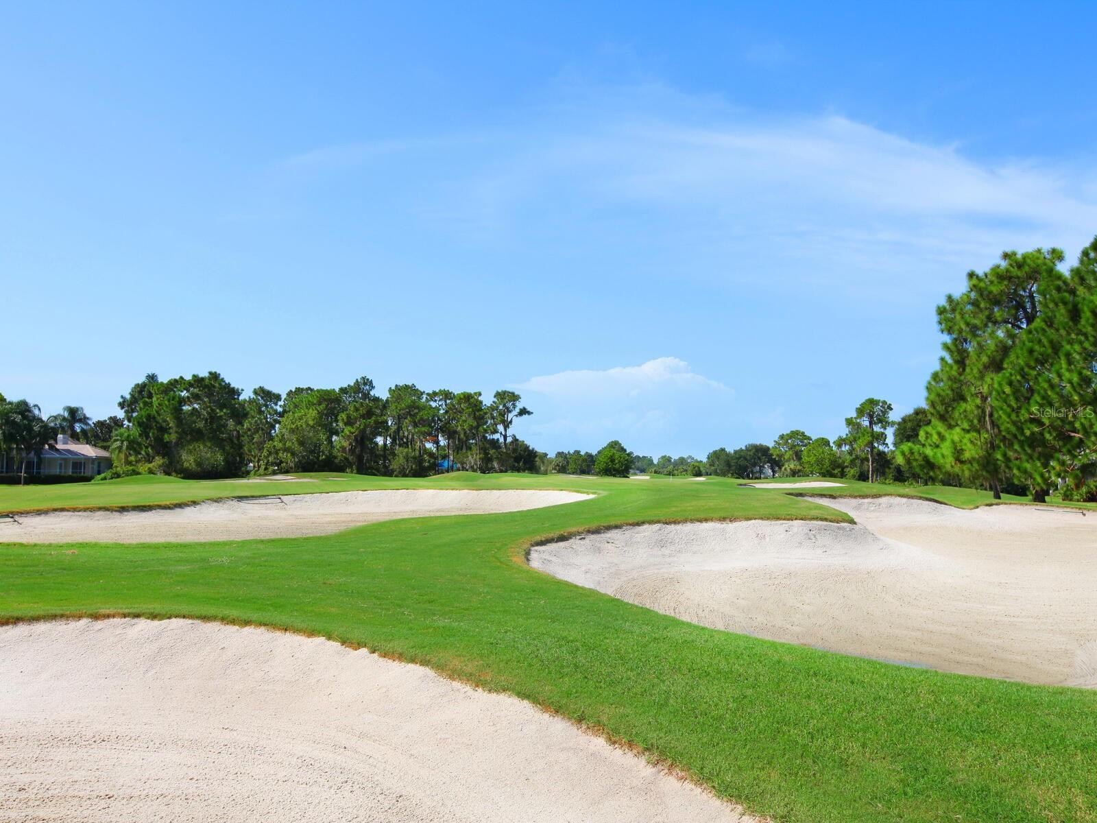 6316 WALTON HEATH PL