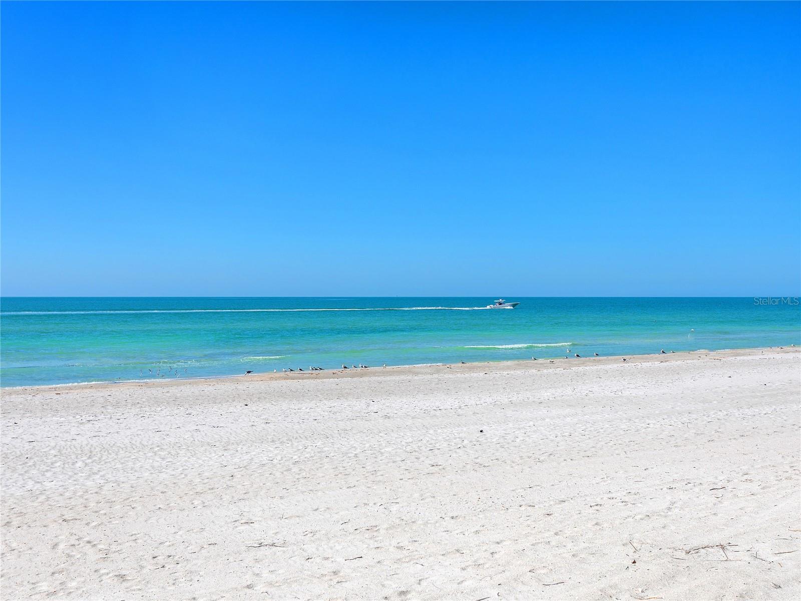 575 SANCTUARY DR #A304