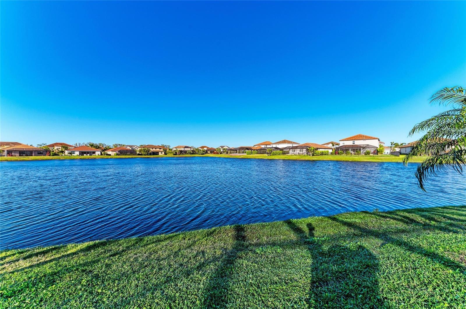 13228 SAW PALM CREEK TRL