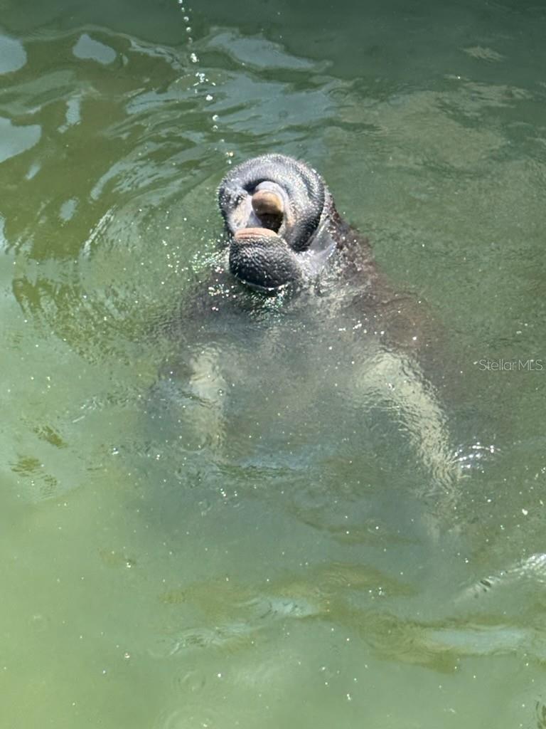 8625 MIDNIGHT PASS RD #305B