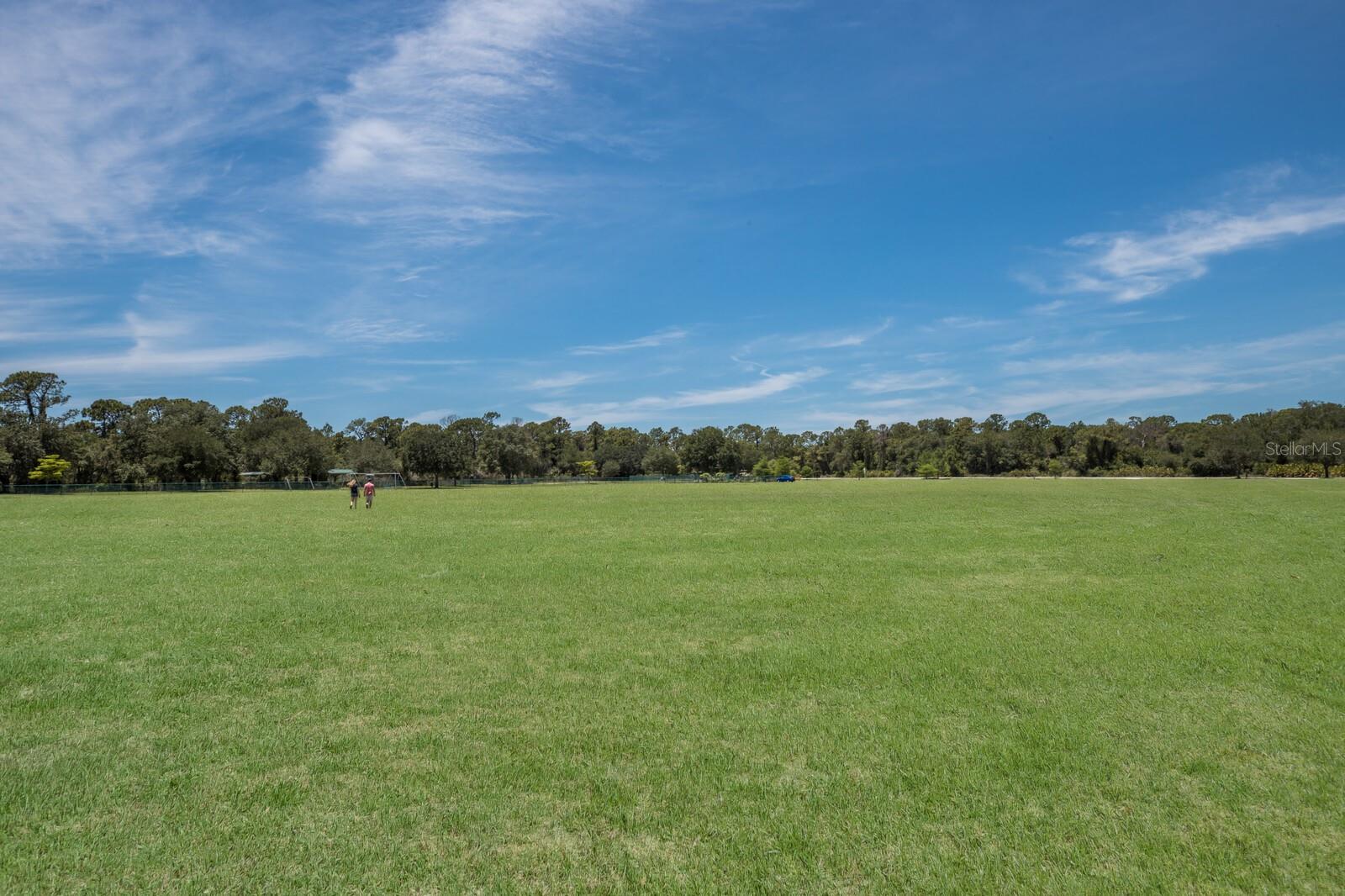 6523 BLUE GROSBEAK CIR