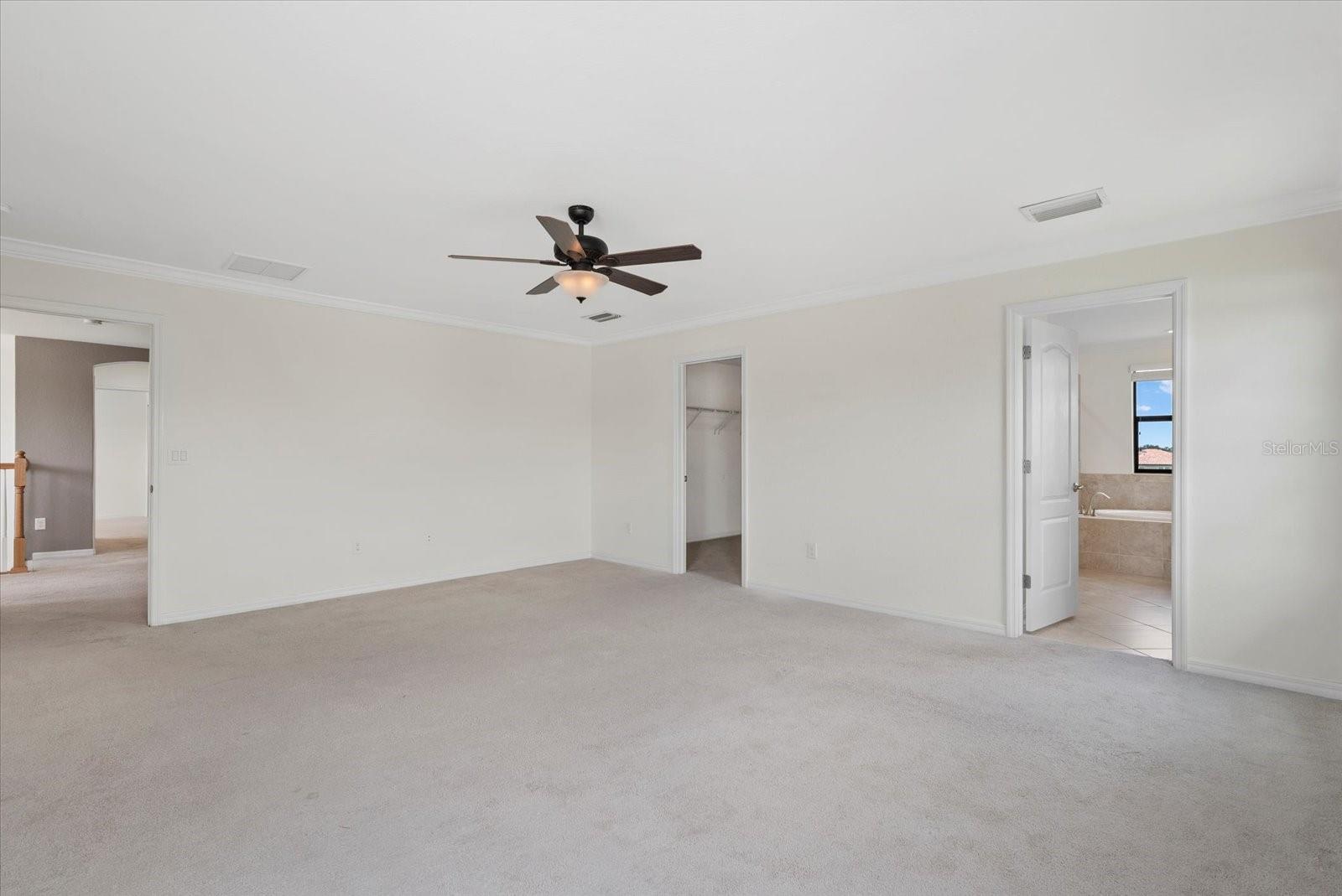 3628 SCRUB CREEK RUN