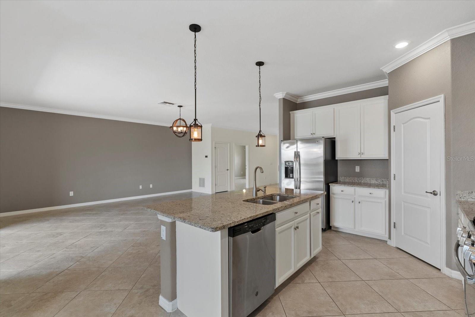 3628 SCRUB CREEK RUN