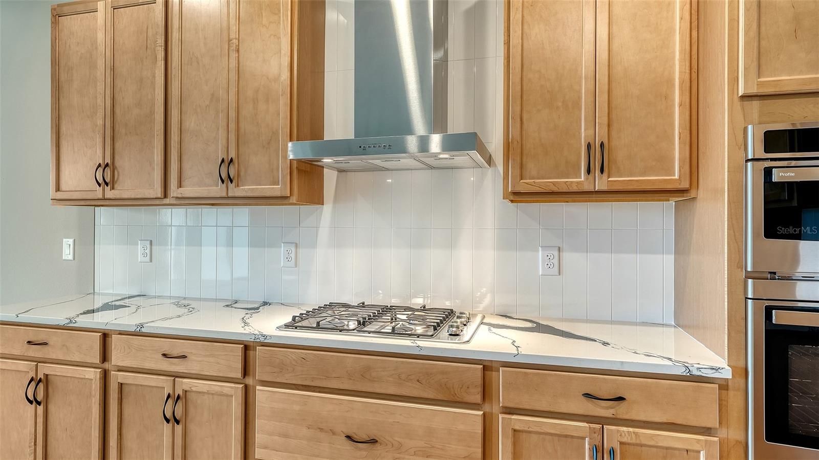 17225 SAVORY MIST CIR