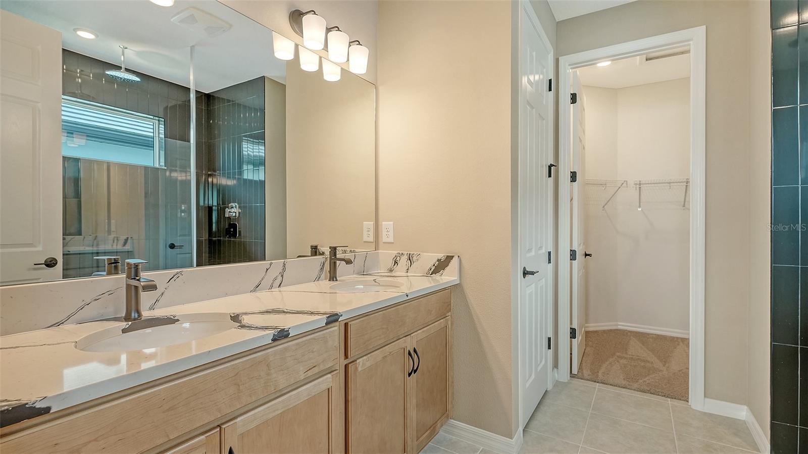 17225 SAVORY MIST CIR