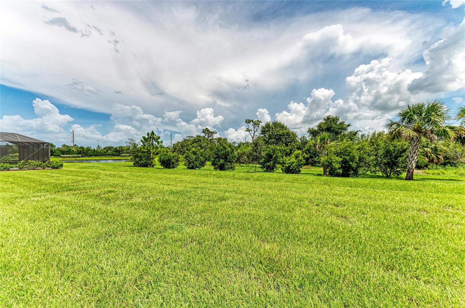 2802 BUTTERFLY JASMINE TRL