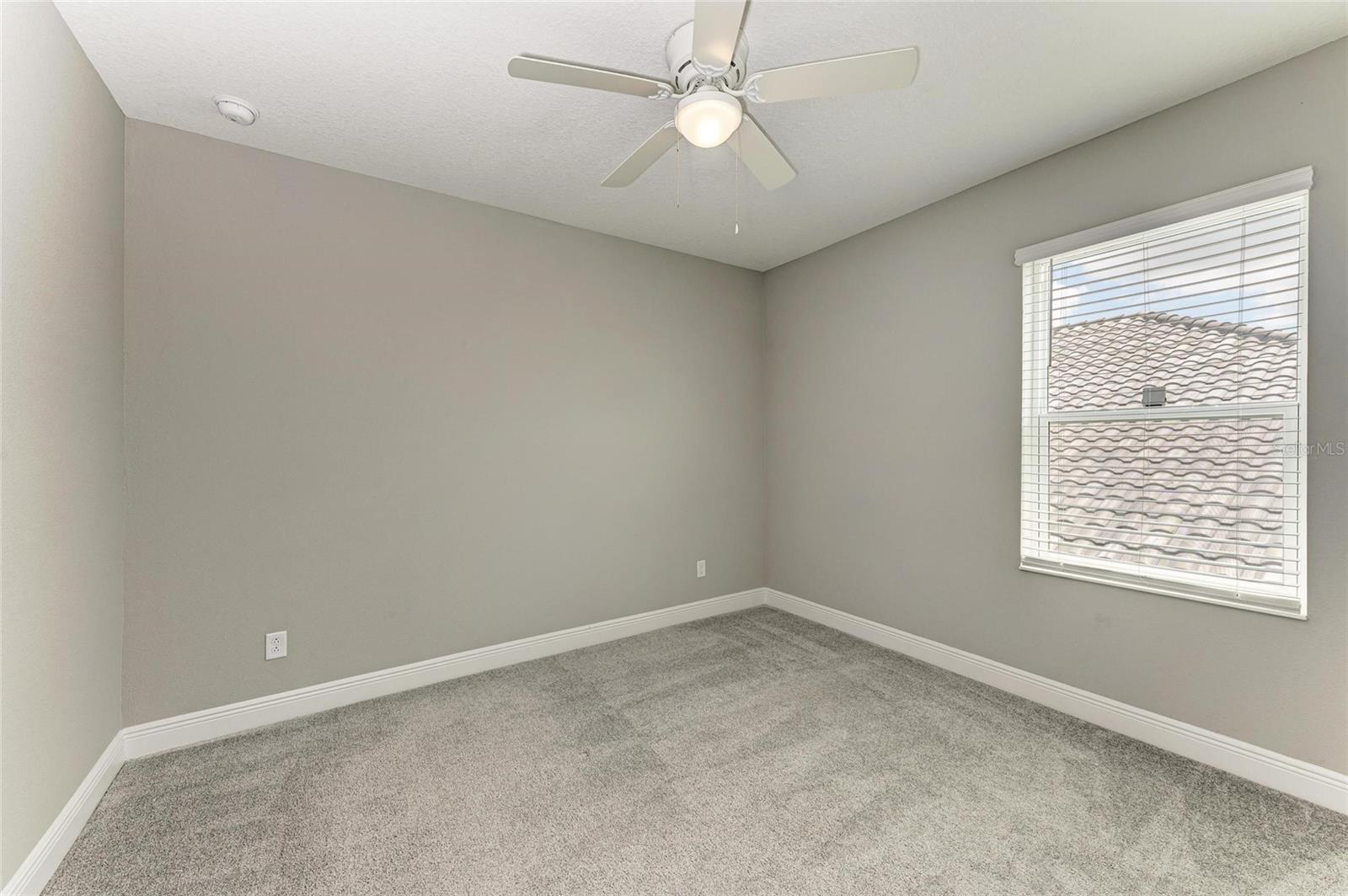 2802 BUTTERFLY JASMINE TRL