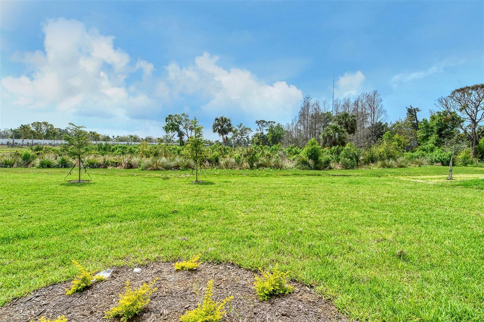 15324 SHADY PALMS LN