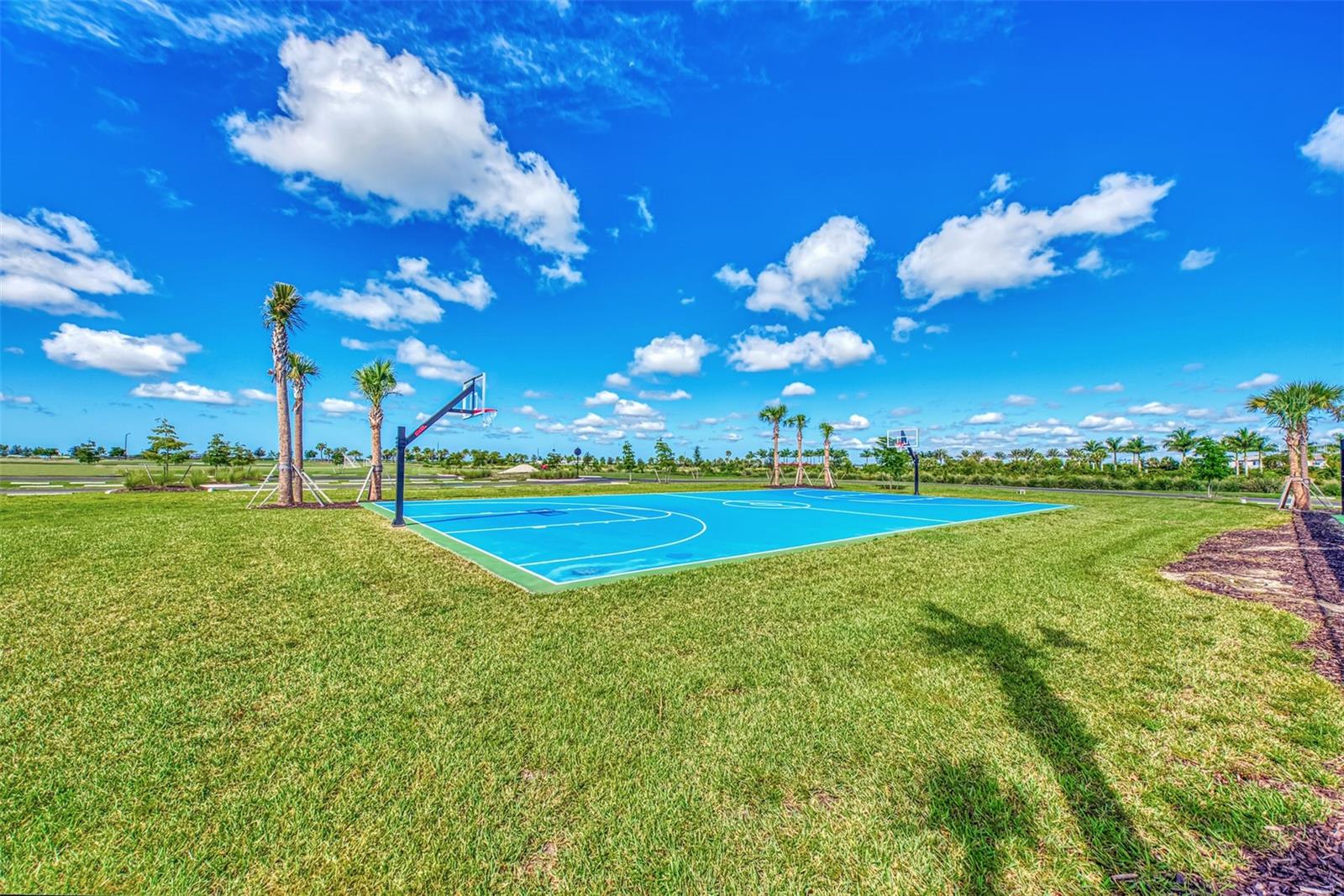 8216 SUMMER NIGHT RD