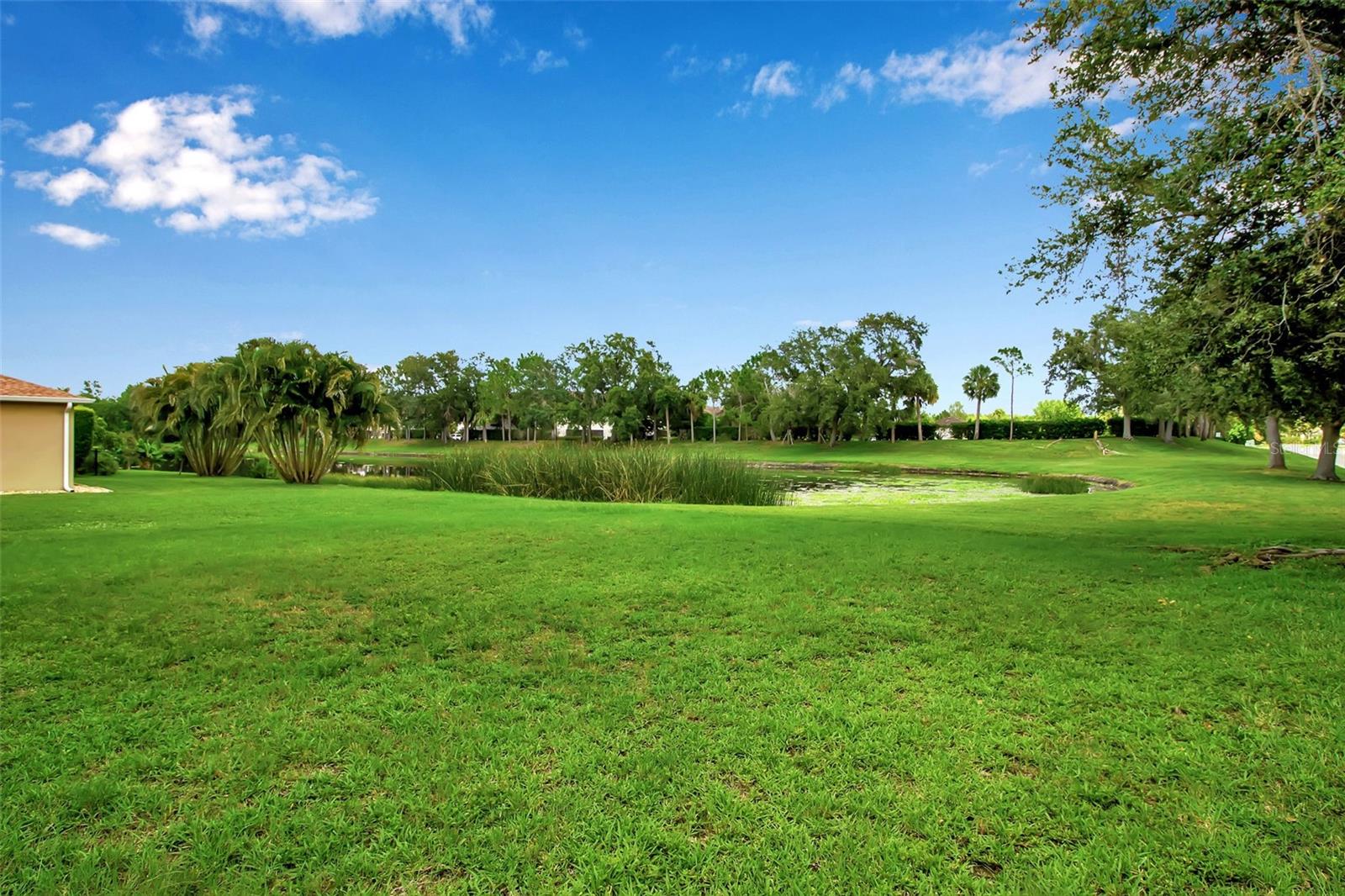 7095 CHATUM LIGHT RUN