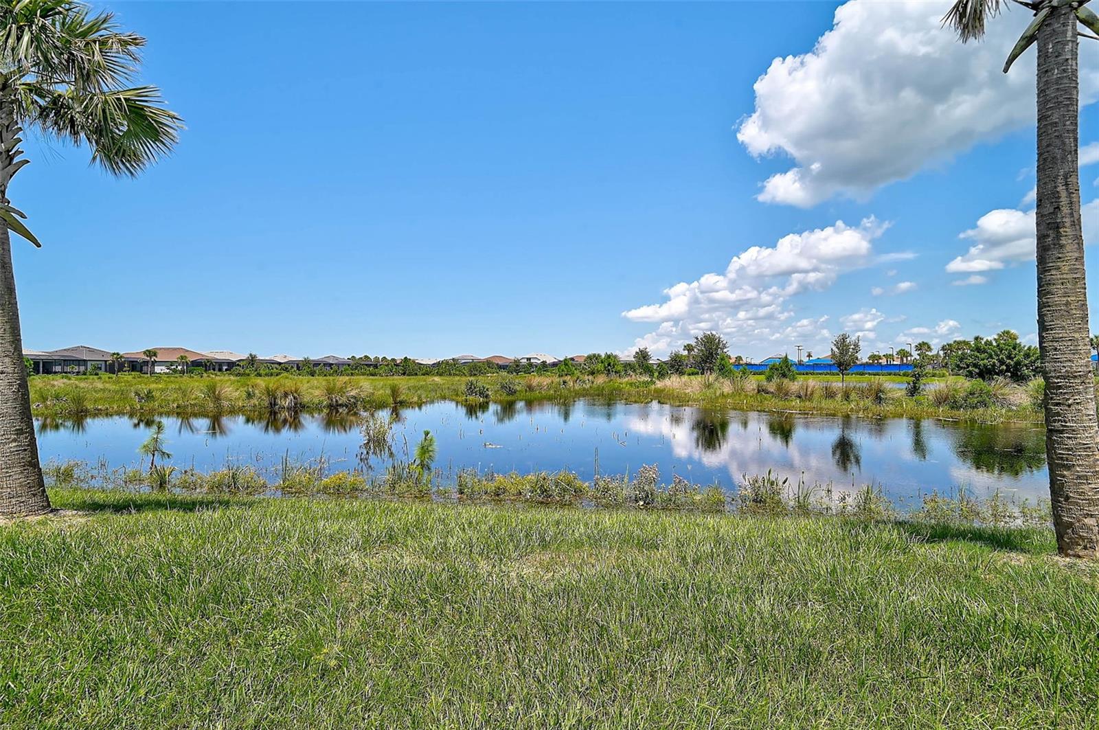 14698 HIDDEN SAWGRASS PATH