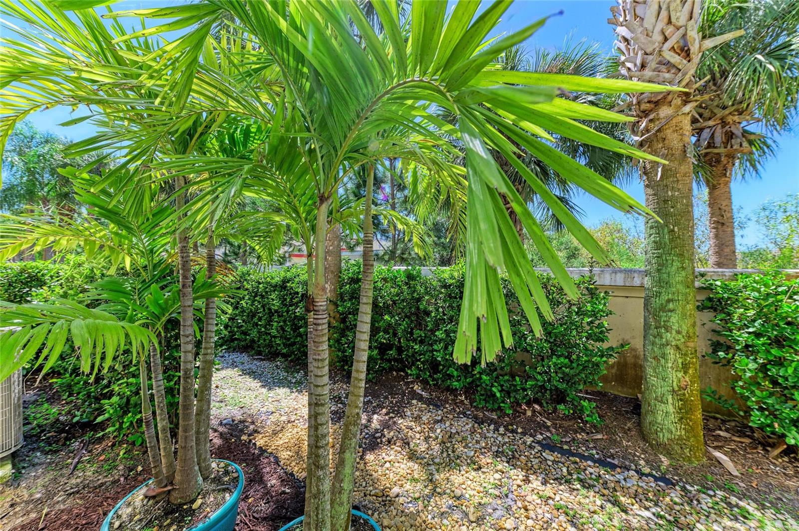 8015 LIMESTONE LN #15-101