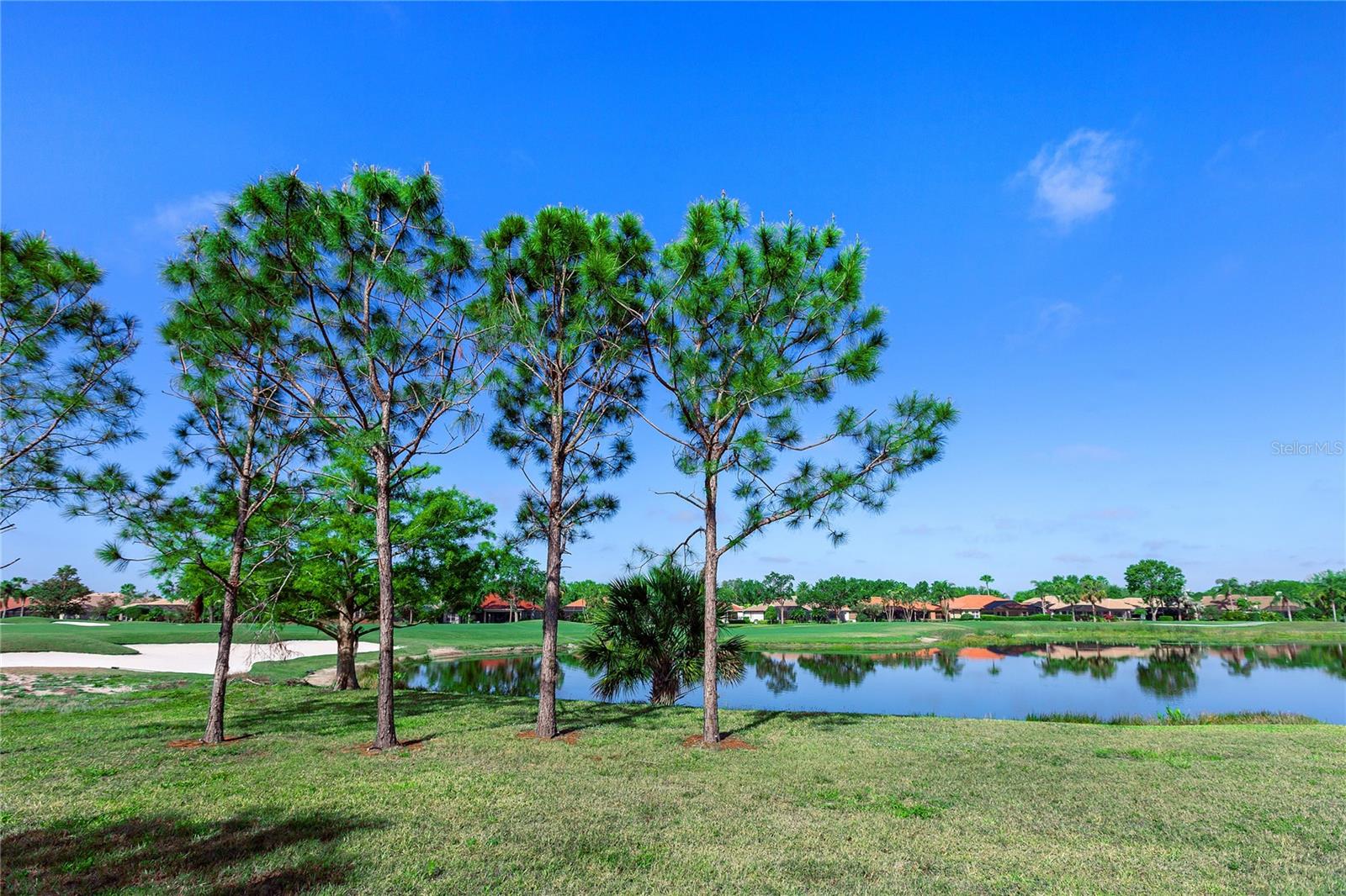 8142 MIRAMAR WAY #8142