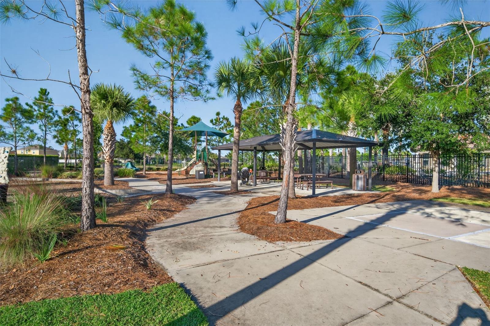 14818 TRINITY FALL WAY