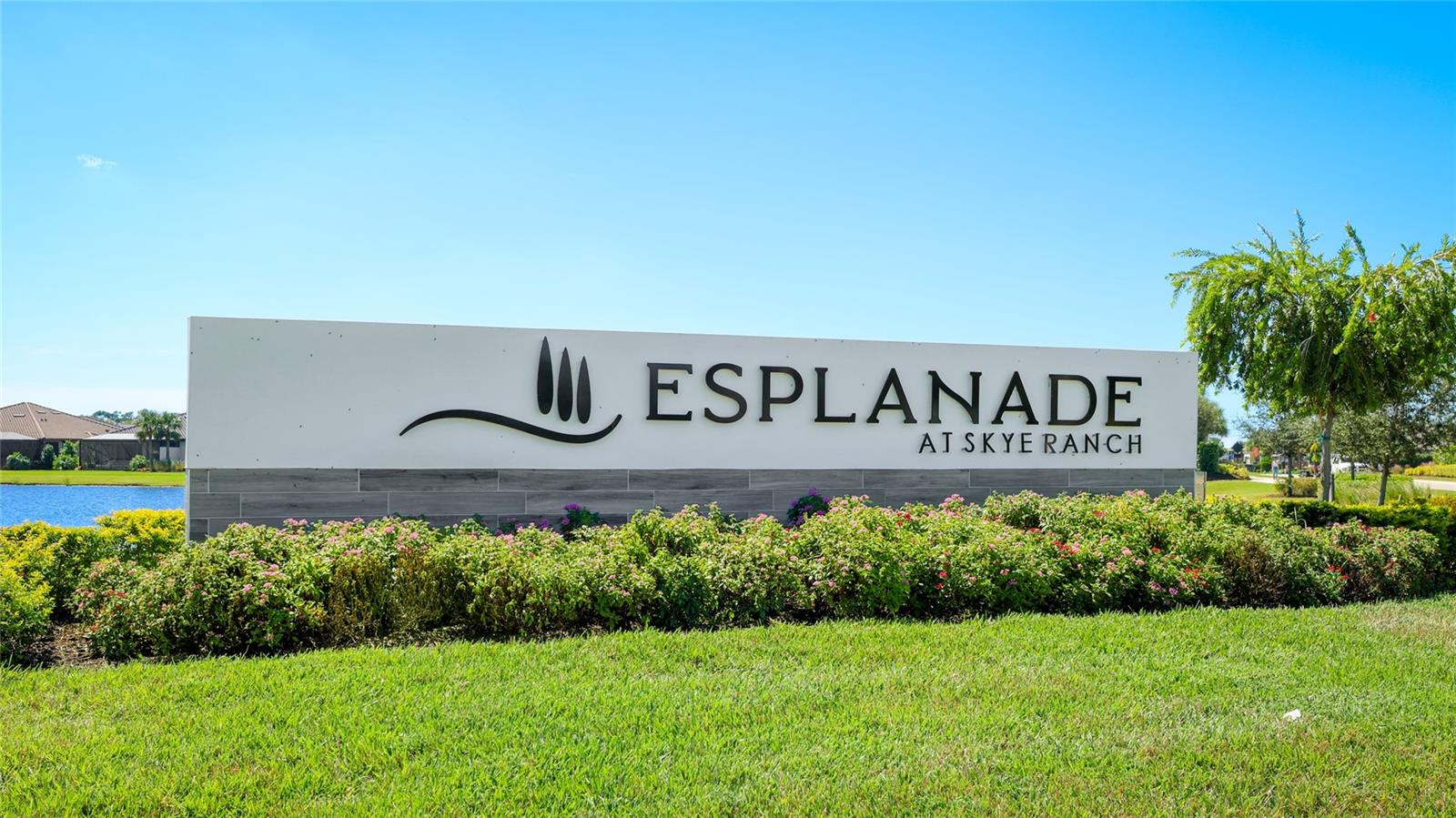 10073 MORNING MIST LN