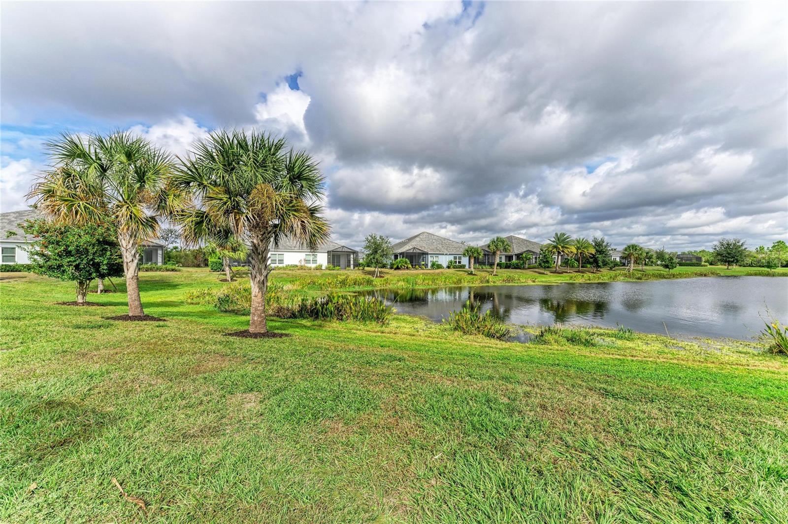 2883 BUTTERFLY JASMINE TRL