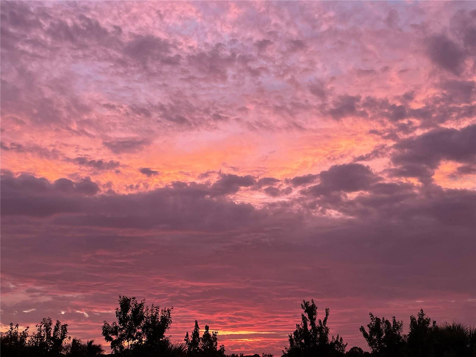 12228 MARSH POINTE RD