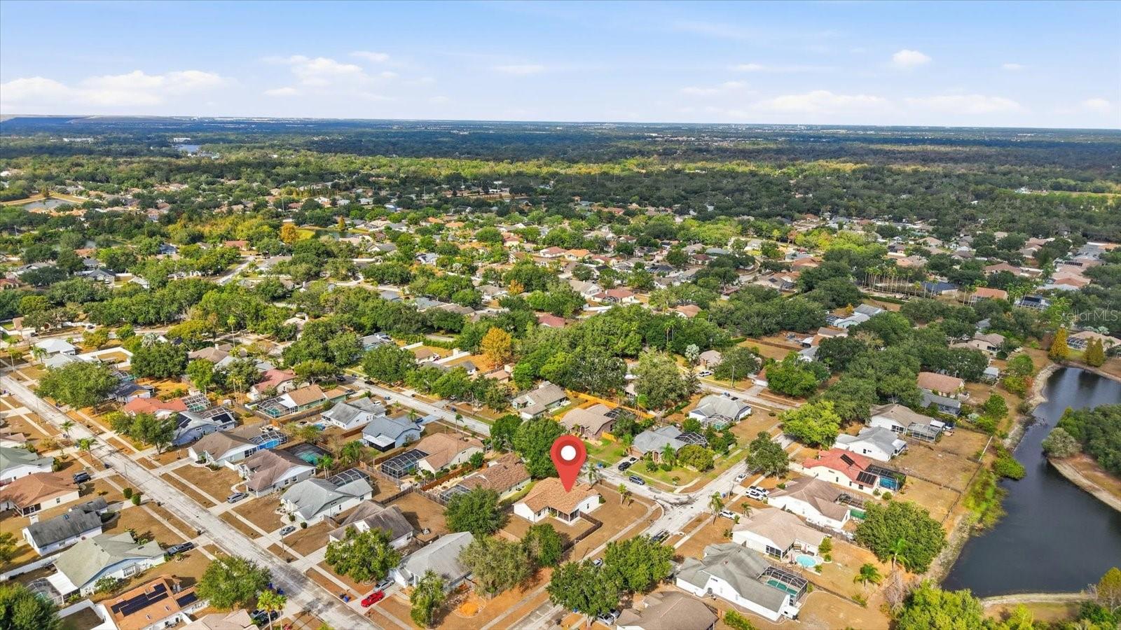 12231 SHADY FOREST DR