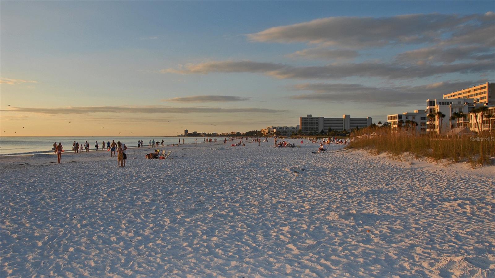 6204 MIDNIGHT PASS RD #205