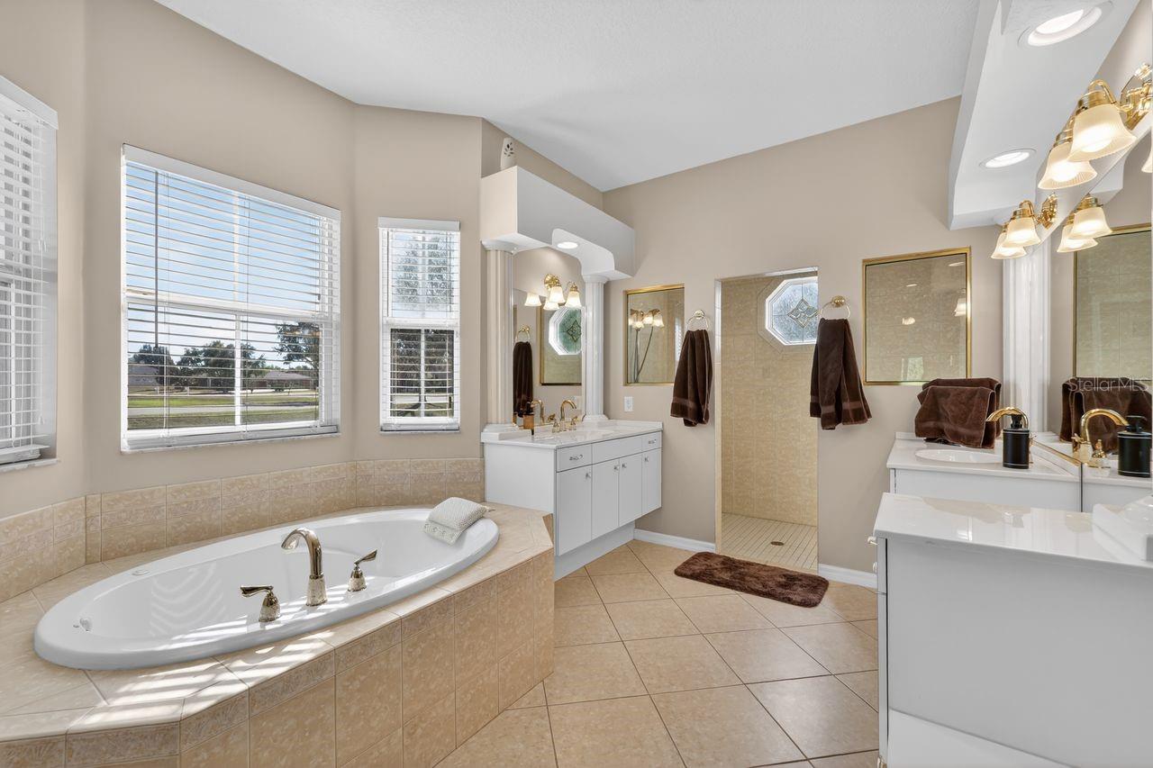 17312 HOWLING WOLF RUN