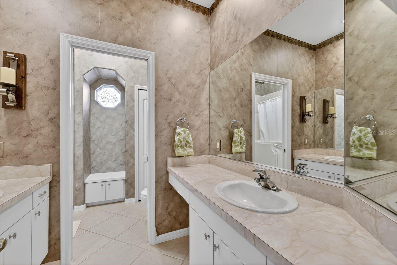 17312 HOWLING WOLF RUN