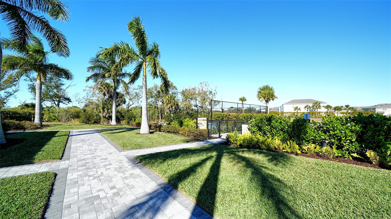 15312 SHADY PALMS LN