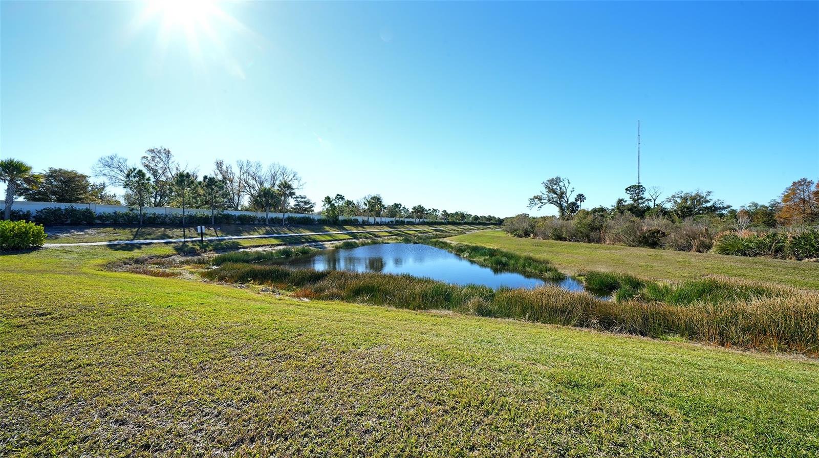 15312 SHADY PALMS LN