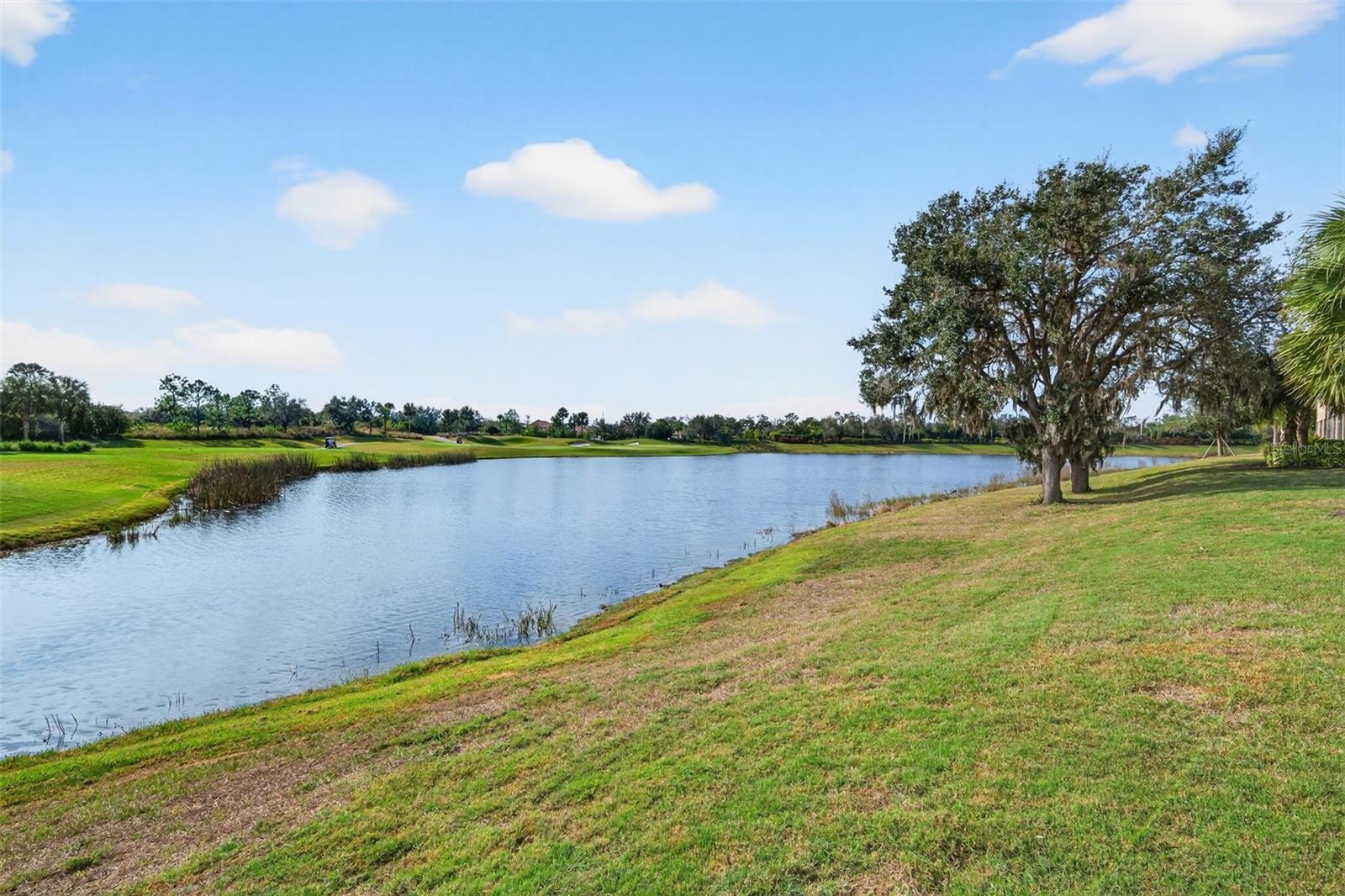 13738 MESSINA LOOP #103