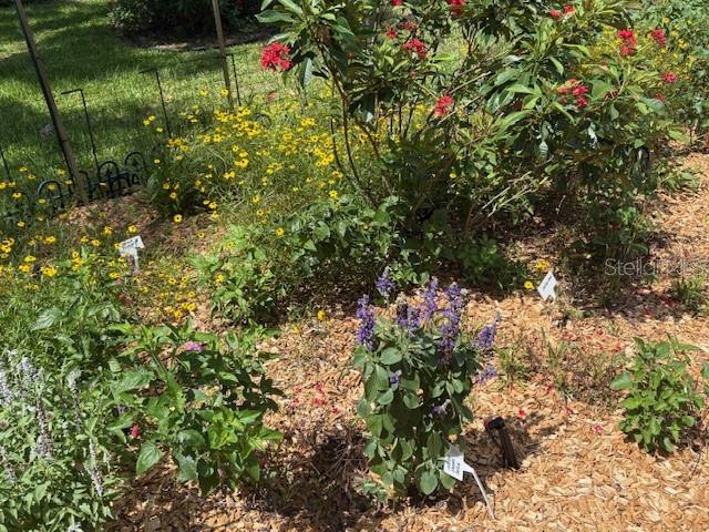 7604 WEEPING WILLOW CIR