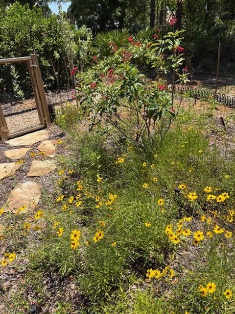 7604 WEEPING WILLOW CIR