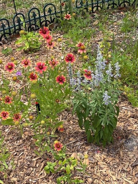 7604 WEEPING WILLOW CIR