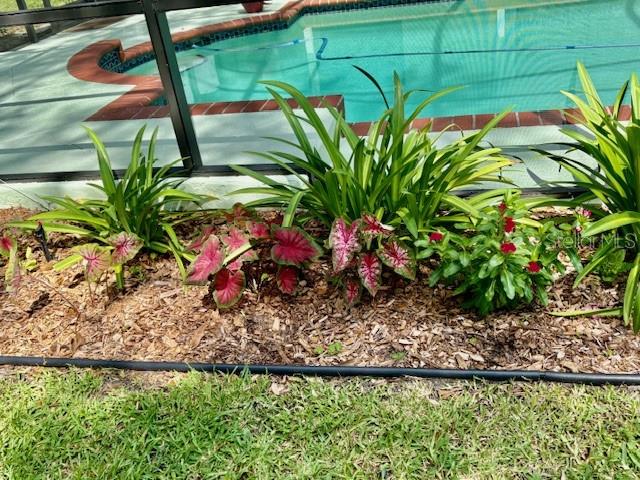 7604 WEEPING WILLOW CIR