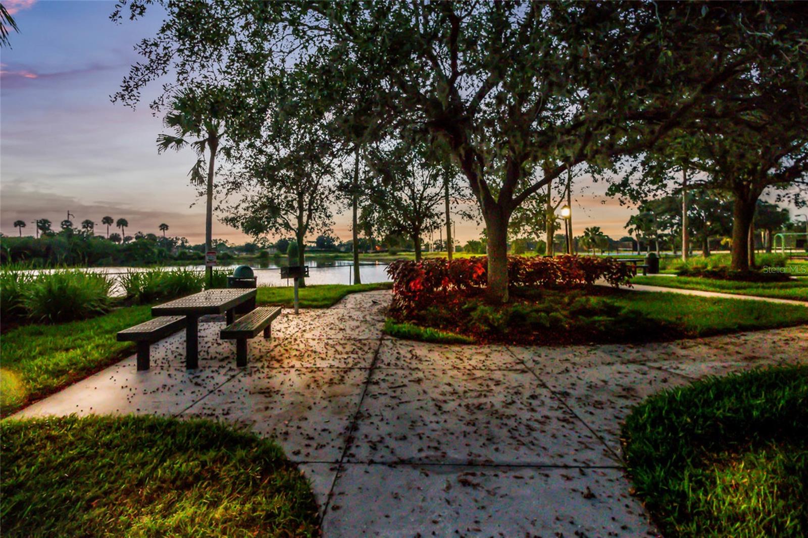 803 FAIRWAYCOVE LN #205