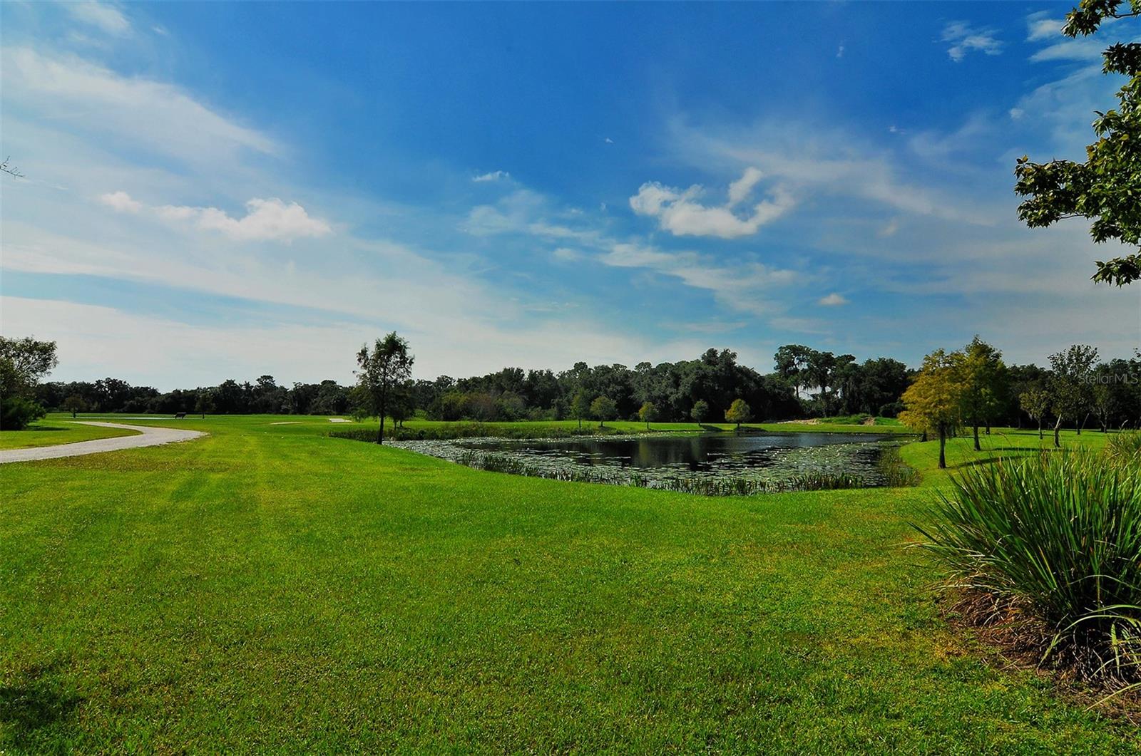 14324 SILVER TROUT DR