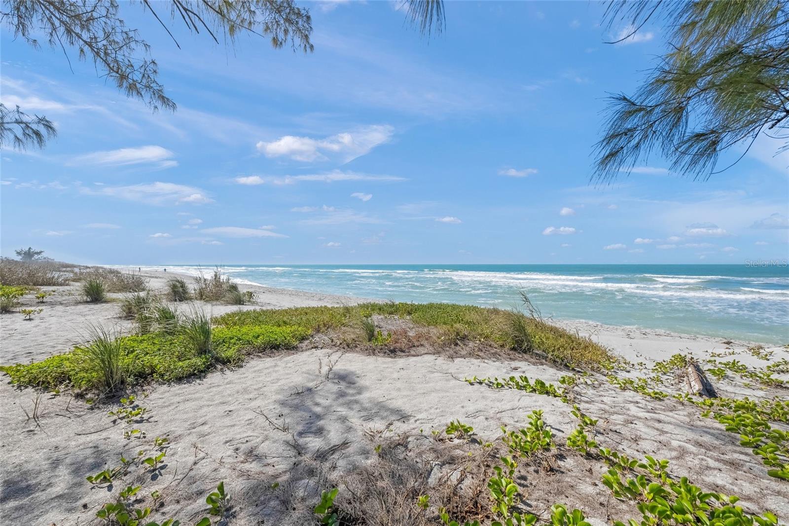 8560 HERON LAGOON CIR
