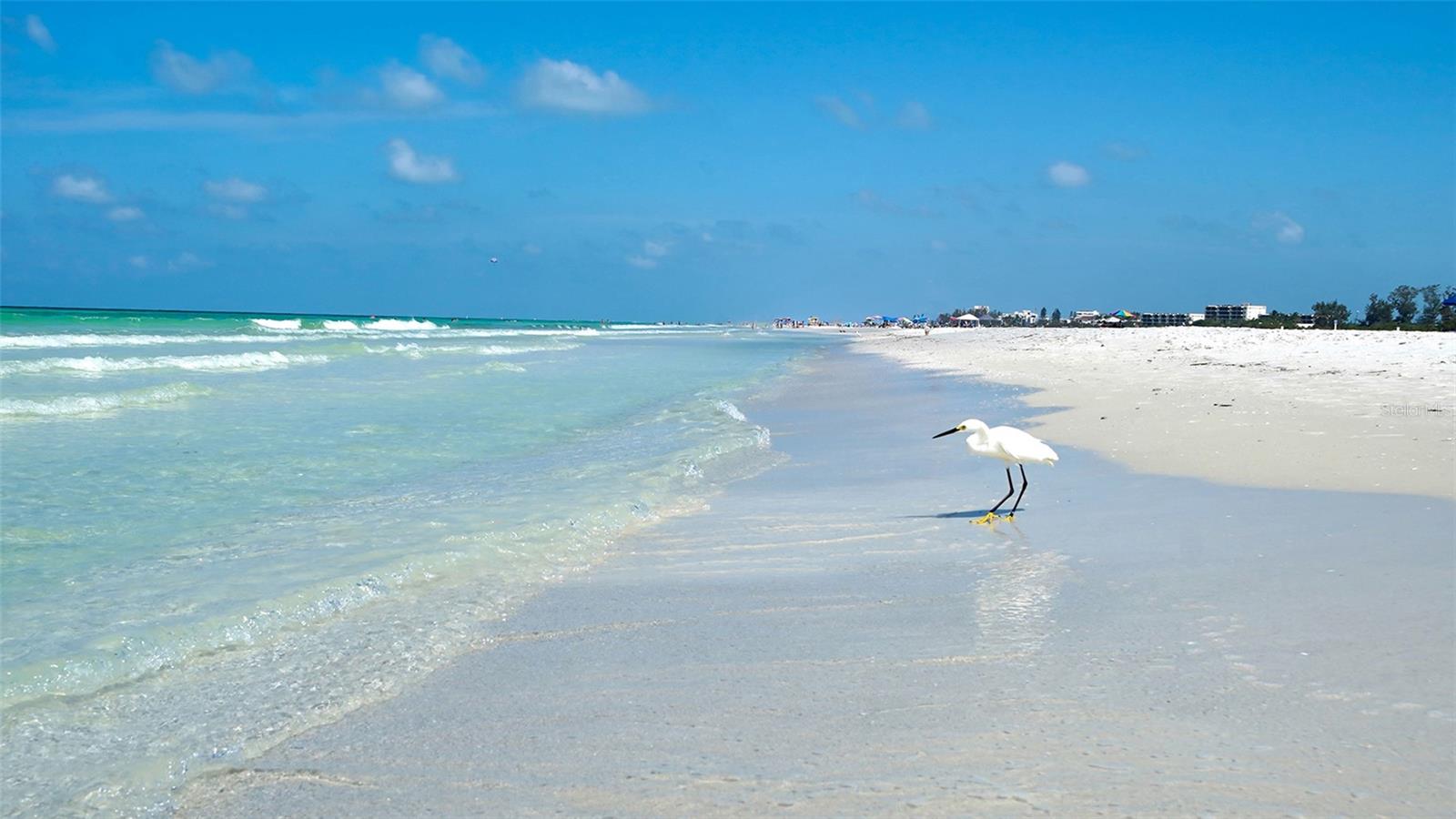 5920 MIDNIGHT PASS RD #1003