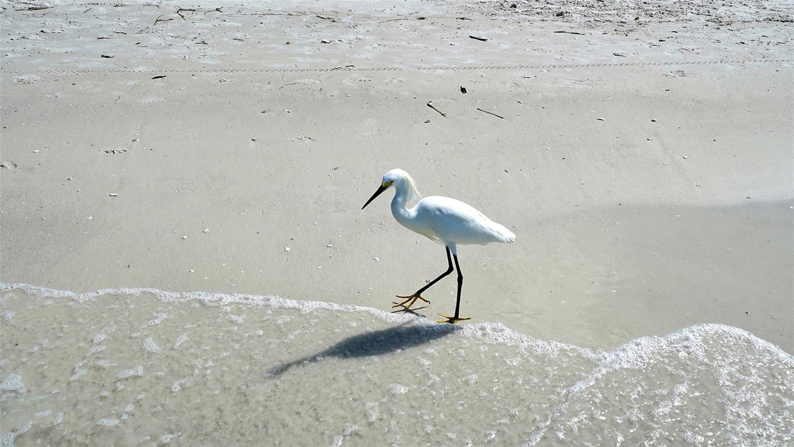 5920 MIDNIGHT PASS RD #1003