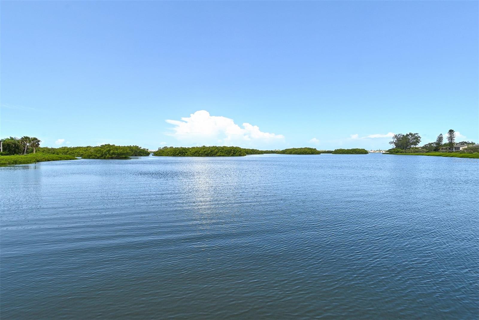 1687 BROOKHOUSE CIR #219