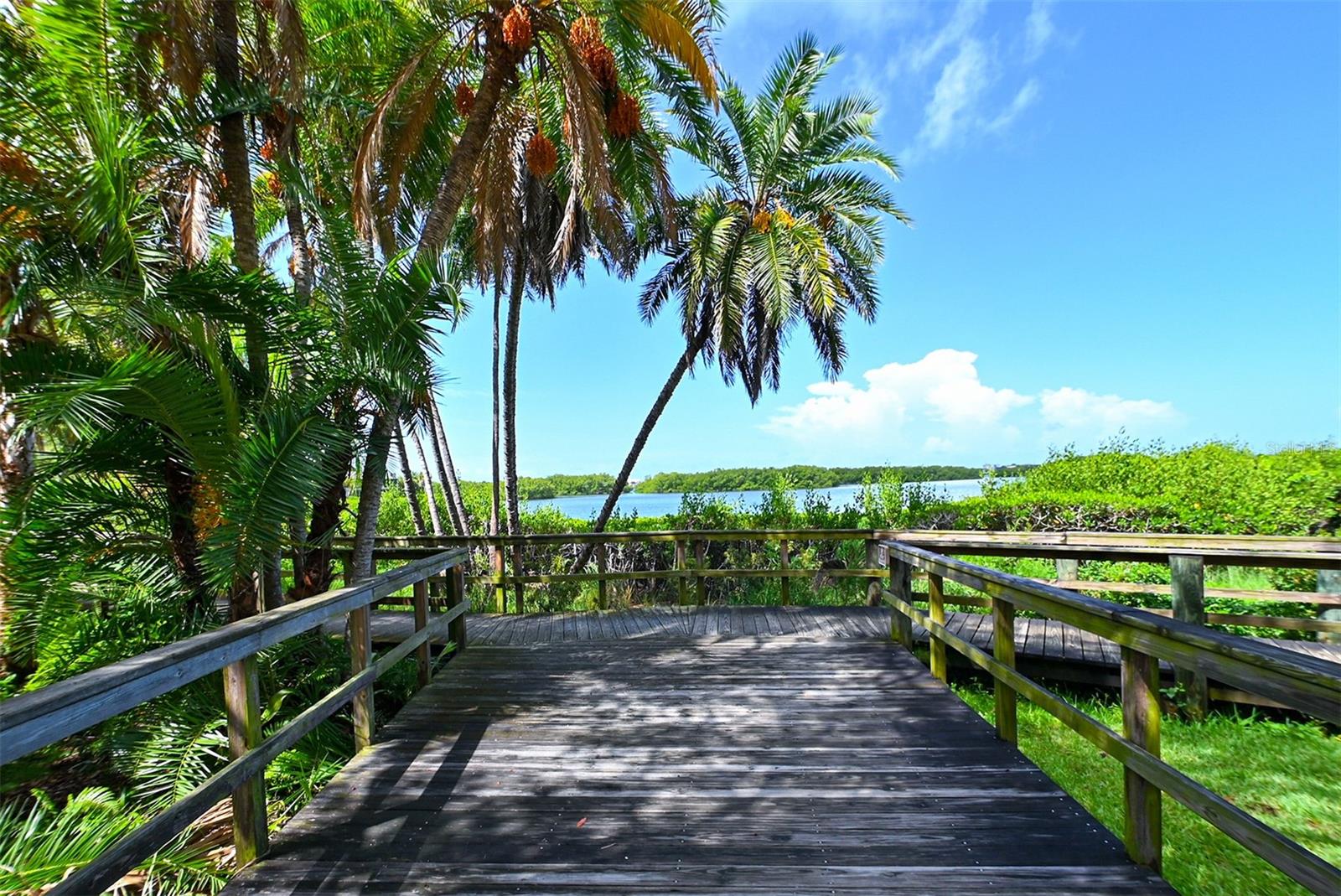 1687 BROOKHOUSE CIR #219