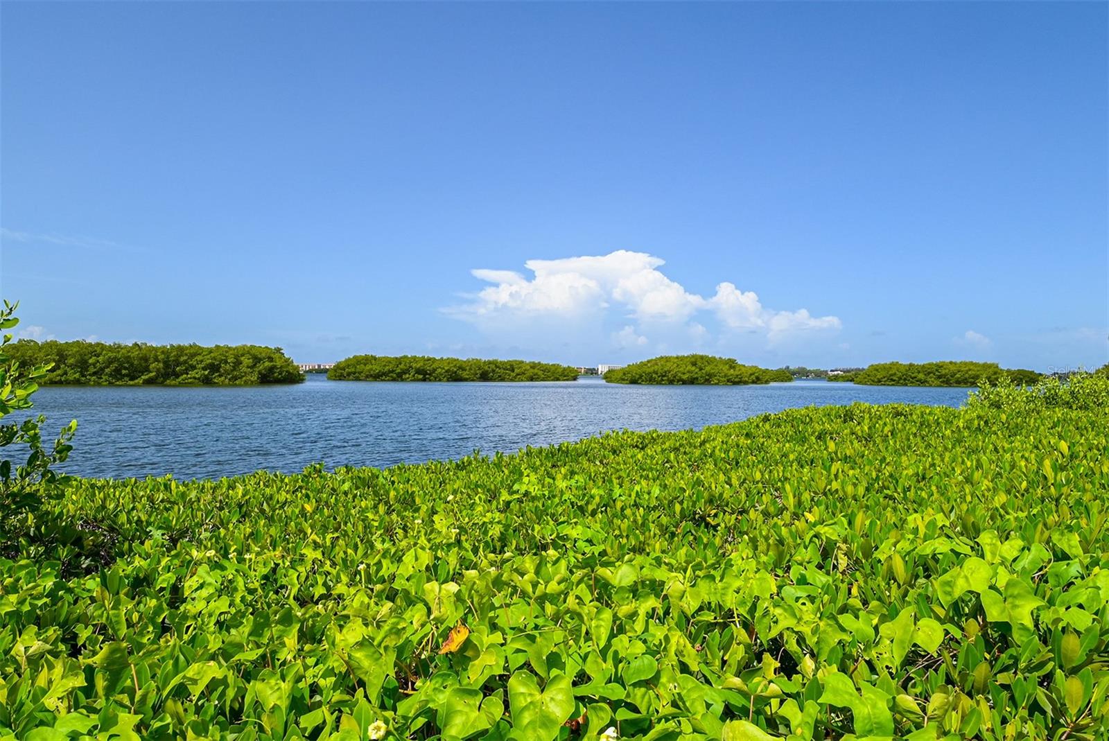 1687 BROOKHOUSE CIR #219