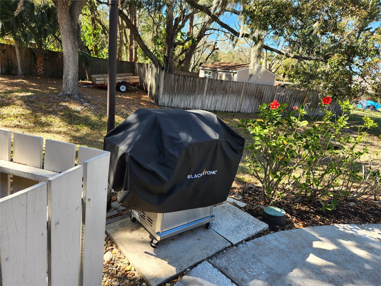 3439 TALLYWOOD LN #7139